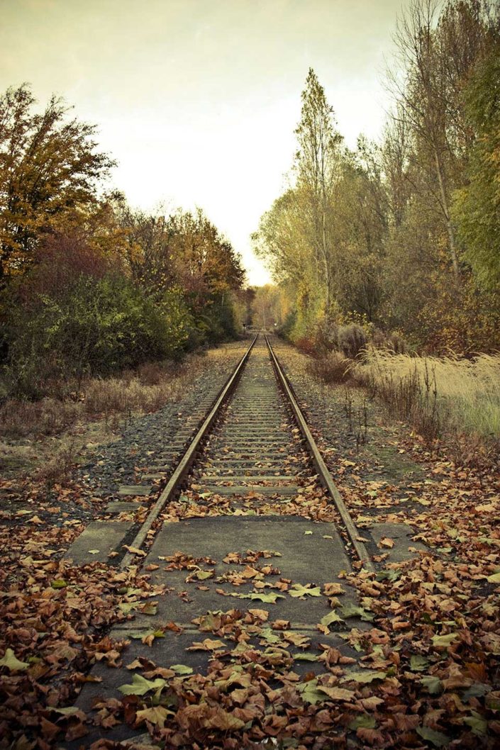 Via del tren en otoño
